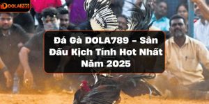 Đá gà DOLA789