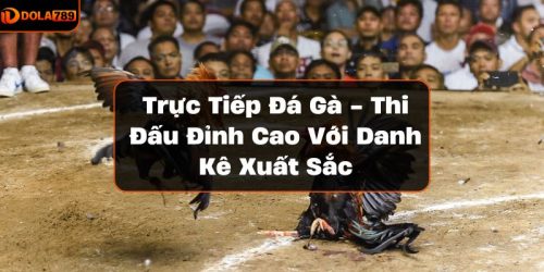 Trực tiếp đá gà