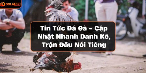 Tin tức đá gà