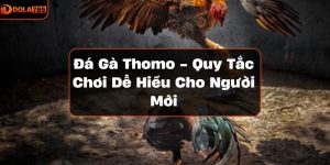 Đá gà Thomo