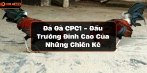 Đá gà CPC1