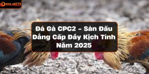 đá gà CPC2